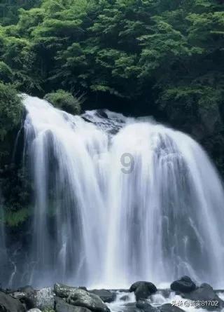 植物大战僵尸21